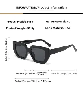 Detailed specs of square oversized sunglasses model 5480 with PC frame and AC lens