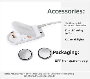 Detail of LED light kit with battery box and 2.2m silver wire for tree of life decor