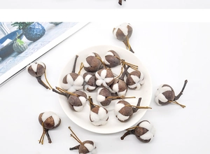 Macro view of natural dried cotton flowers on white plate for DIY Christmas decoration