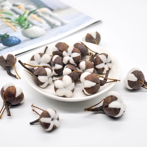Natural dried cotton bolls on a white ceramic plate for Christmas home decoration