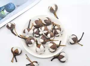 Macro view of natural dried cotton flower heads in a white plate for home decor
