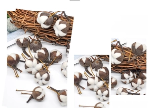 Macro shot of natural dried cotton bolls with brown husks for holiday home decor