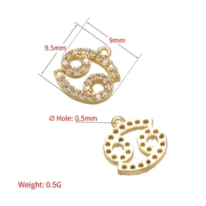 Gouden Kreeft sterrenbeeld hanger met zirkonia voor DIY sieraden maken