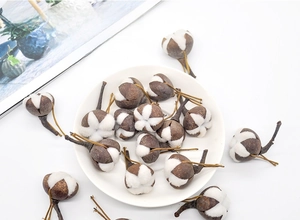 Macro detail of natural dried cotton flower heads displayed on a white ceramic tray