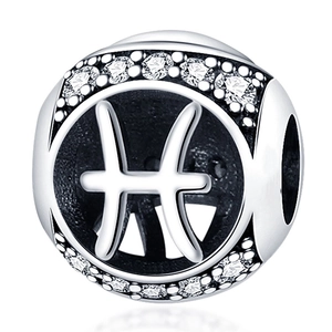 Macro shot of silver Pisces zodiac charm bead with clear cubic zirconia inlay