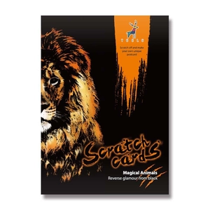 Kit de cartes à gratter colorées avec motif de lion magique pour dessins créatifs