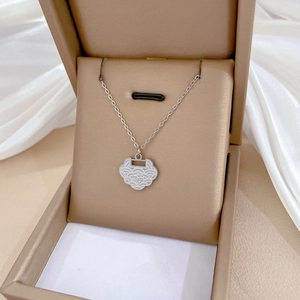 Detailed view of silver titanium steel lock necklace with Fu character in a jewelry box