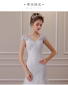 Detail of elegant V-neck lace bodice with intricate floral embroidery and short sleeves