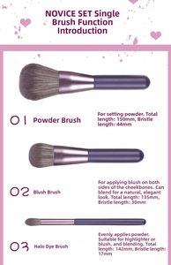 Detailed size specifications for powder, blush, and highlight brushes in deep purple