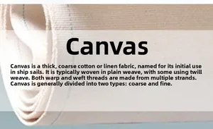 Detailed macro view of the natural beige canvas fabric texture and weave construction