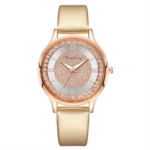 Macro view of crystal-encrusted starry watch dial with Roman numerals and brand logo