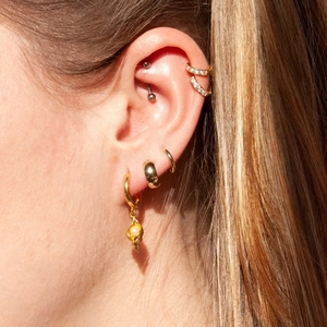 Luxe S925 silver needle gold earrings set with pearl conch and zircon on female model