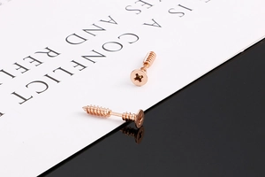 Macro shot of rose gold screw-shaped stud earrings in polished stainless steel
