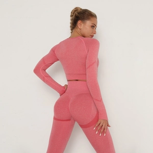 Vista posteriore del crop top a maniche lunghe senza cuciture e leggings a vita alta rosa
