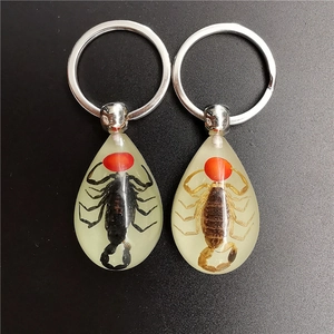 Detail of resin teardrop pendants featuring real scorpion specimens and red beads