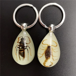 Detail of drop-shaped resin keychains with wasp and scorpion insect specimens