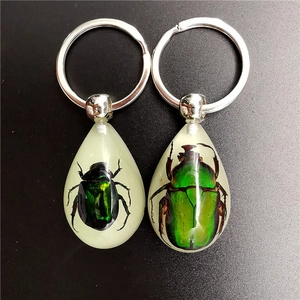 Handmade clear resin teardrop keychains featuring real green beetle insect specimens