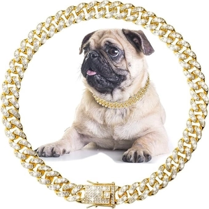 Golden iced-out Cuban link pet collar with rhinestones shown on a pug dog model
