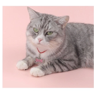 Pink bone-shaped pet ID tag with rhinestones and a photo frame shown on a cat