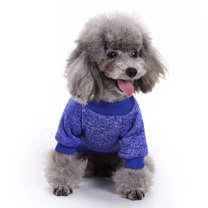 Close-up of blue knitted puppy sweater with ribbed collar and warm mosaic texture