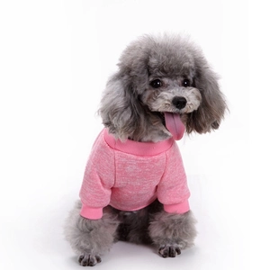 Close-up of pink knitted puppy sweater with ribbed collar on a grey toy poodle