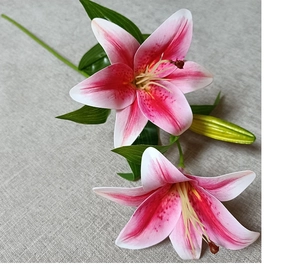 Detailed close-up of 3D realistic pink and white lily bouquet with blooming petals