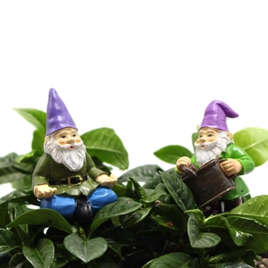 Macro shot of two resin garden gnomes in sitting and watering poses among green leaves