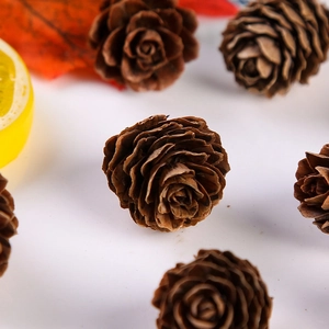 Macro view of natural dried pine cones with rustic decorative elements for DIY crafts