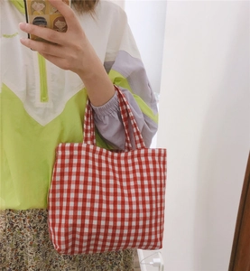 Detail of red and white gingham canvas tote bag held by a model in a mirror selfie