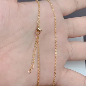 Macro shot of 18K gold plated cable chain with lobster clasp and extension link