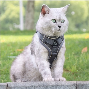 Adjustable grey mesh pet harness set on a cat in outdoor grass setting