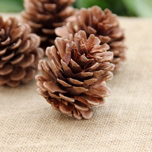 Macro shot of a natural brown pine cone on rustic beige linen for festive decor