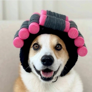 Funny pet costume hat with pink rollers for dogs and cats Halloween cosplay headwear