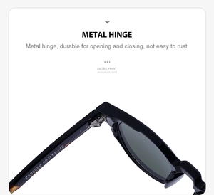 Detail view of durable metal hinges and model number ZS98099 on oval sunglasses