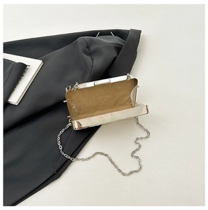 Detail of transparent acrylic clutch bag with silver metal trim and soft suede lining
