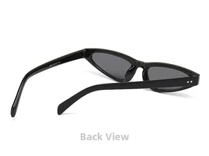 Detail view of cat eye sunglasses showing model S420 specifications on inner temples