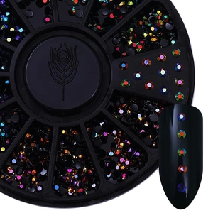 Detail of assorted crystal nail rhinestones in a black round wheel case for nail art