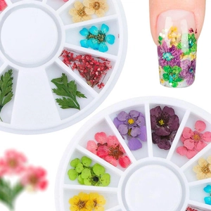 Macro shot of 3D colorful dried flowers in cases for professional nail art decoration
