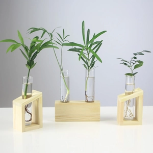 Hydroponic Vase Glass Plant Terrarium With Wooden Stand Nordic Style Clear Desktop Decor Ornament