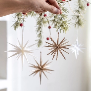 Sparkling champagne and white star ornaments hanging from a pine branch for Xmas trees
