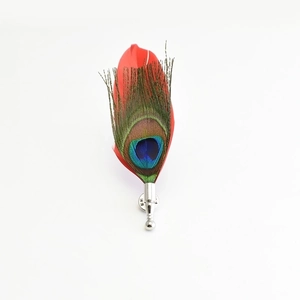 Vibrant red and peacock feather brooch with a silver metal clasp on white background