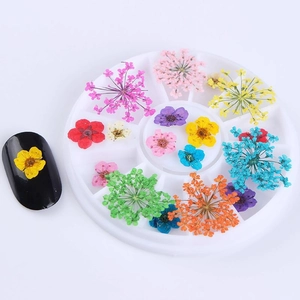 Assorted colorful dried flowers for nail art in a multi-grid storage case with display tip