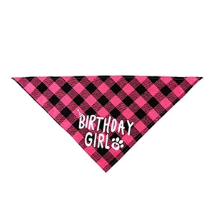 Detailed view of pink and black plaid dog birthday bandana with Birthday Girl print