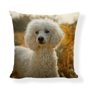 Modern cute linen throw pillow cover with white poodle print on natural background