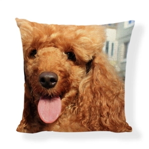 Cute teddy dog print decorative cushion cover 45x45 cm for sofa and home decor