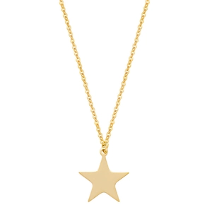 Macro shot of 18K gold plated stainless steel necklace featuring a star pendant