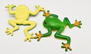 Detailed view of soft rubber toy frogs in yellow and green with realistic skin texture