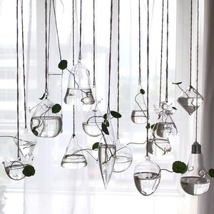 Close-up of hanging glass hydroponic vases in various shapes with hemp rope and green plants