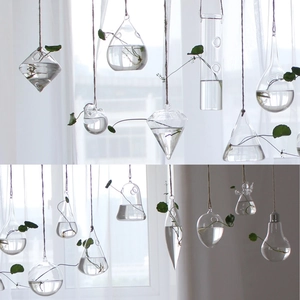 Close-up of assorted glass hydroponic hanging vases with greenery and rustic hemp rope