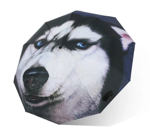 Top view of folding umbrella showing a realistic Siberian Husky dog face pattern